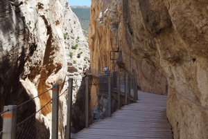 Caminito del Rey desde Málaga+Guía Oficial+Bebida+Sorteo