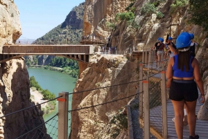 Caminito del Rey desde Málaga+Guía Oficial+Bebida+Sorteo