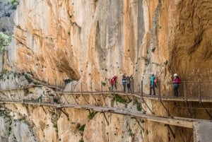Vanuit Malaga: excursie Caminito del Rey