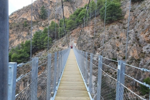 From Málaga: Camino del Saltillo Full-Day Tour