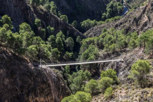 From Málaga: Camino del Saltillo Full-Day Tour