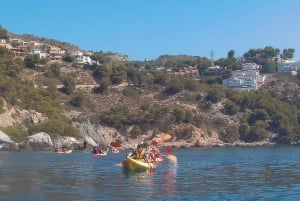 Desde Málaga: Acantilados de Maro-Cerro Gordo Excursión guiada en kayak