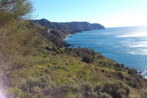 Från Malaga: Cliffs of Maro vandring med strandbesök och snorkling
