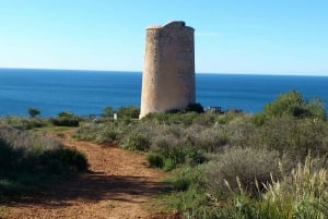 Fra Malaga: Cliffs of Maro-vandring med strandbesøg og snorkling
