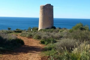Au départ de Malaga : randonnée sur les falaises de Maro avec visite de la plage et plongée avec tuba