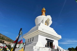 From Málaga: Colomares Castle & Stupa Viewpoint Tesla X Tour