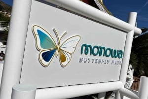 From Málaga: Colomares Castle & Stupa Viewpoint Tesla X Tour