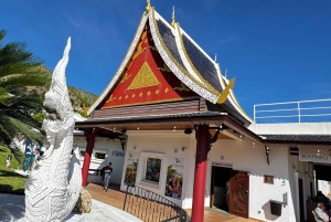 From Málaga: Colomares Castle & Stupa Viewpoint Tesla X Tour