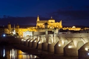 Fra Málaga: Guidet rundvisning i Córdoba moské og katedral