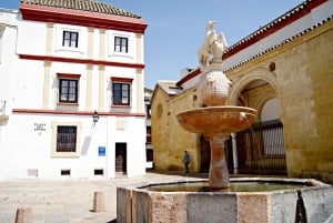 Fra Málaga: Omvisning i moské-katedralen i Córdoba