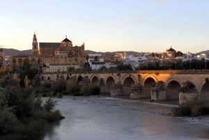 Desde Málaga: tour guiado Mezquita-Catedral Córdoba
