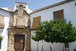 Fra Málaga: Guidet rundvisning i Córdoba moské og katedral