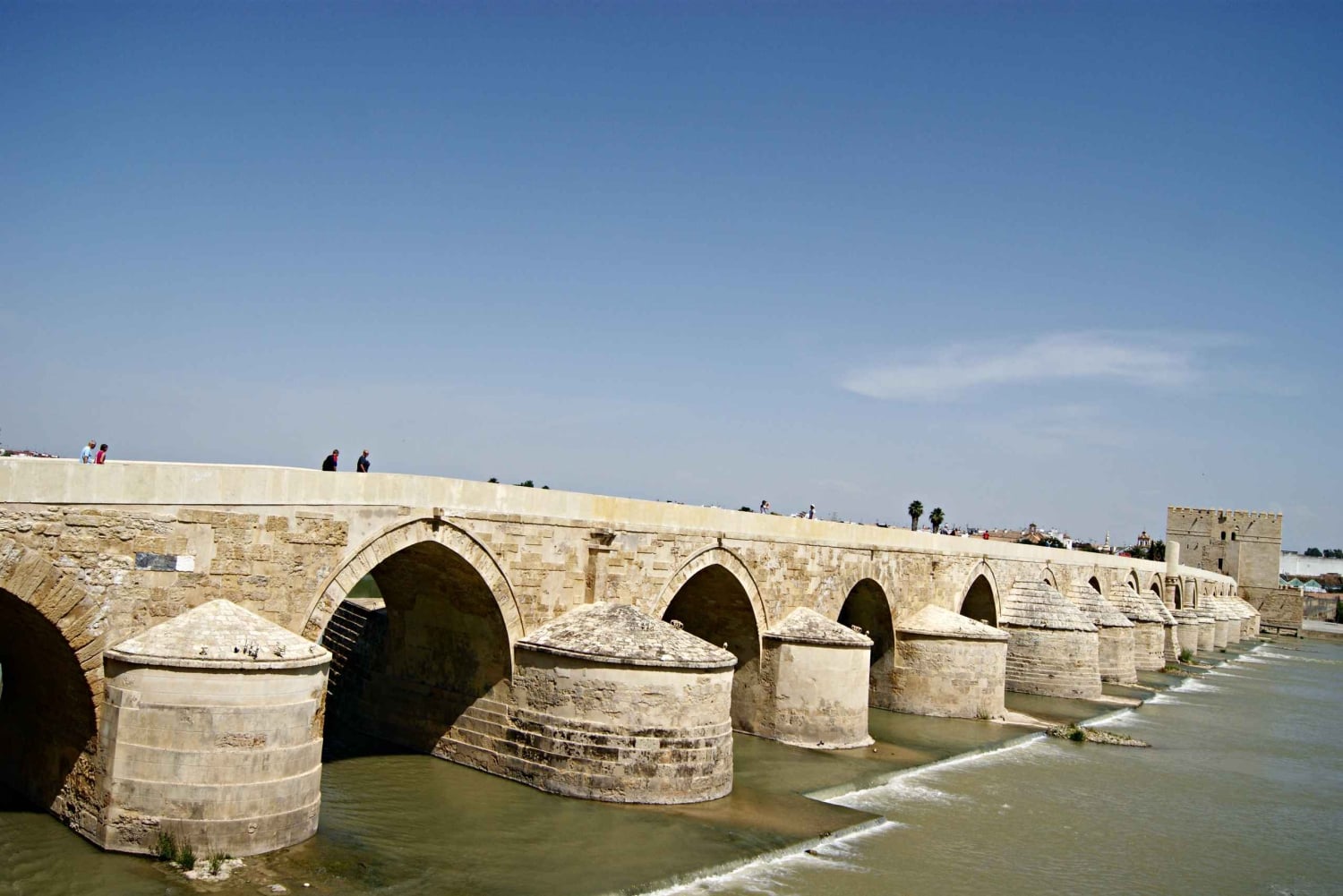 Da Málaga: visita guidata alla Moschea di Córdoba
