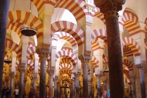 Da Málaga: visita guidata alla Moschea di Córdoba