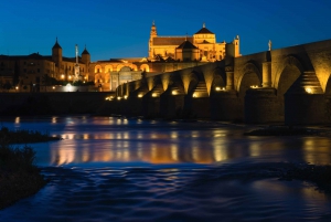 From Malaga: Cordoba Night Tour and Mosque-Cathedral visit