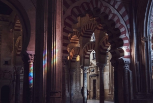From Malaga: Cordoba Night Tour and Mosque-Cathedral visit