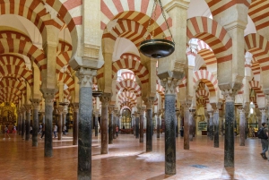 From Malaga: Cordoba Night Tour and Mosque-Cathedral visit