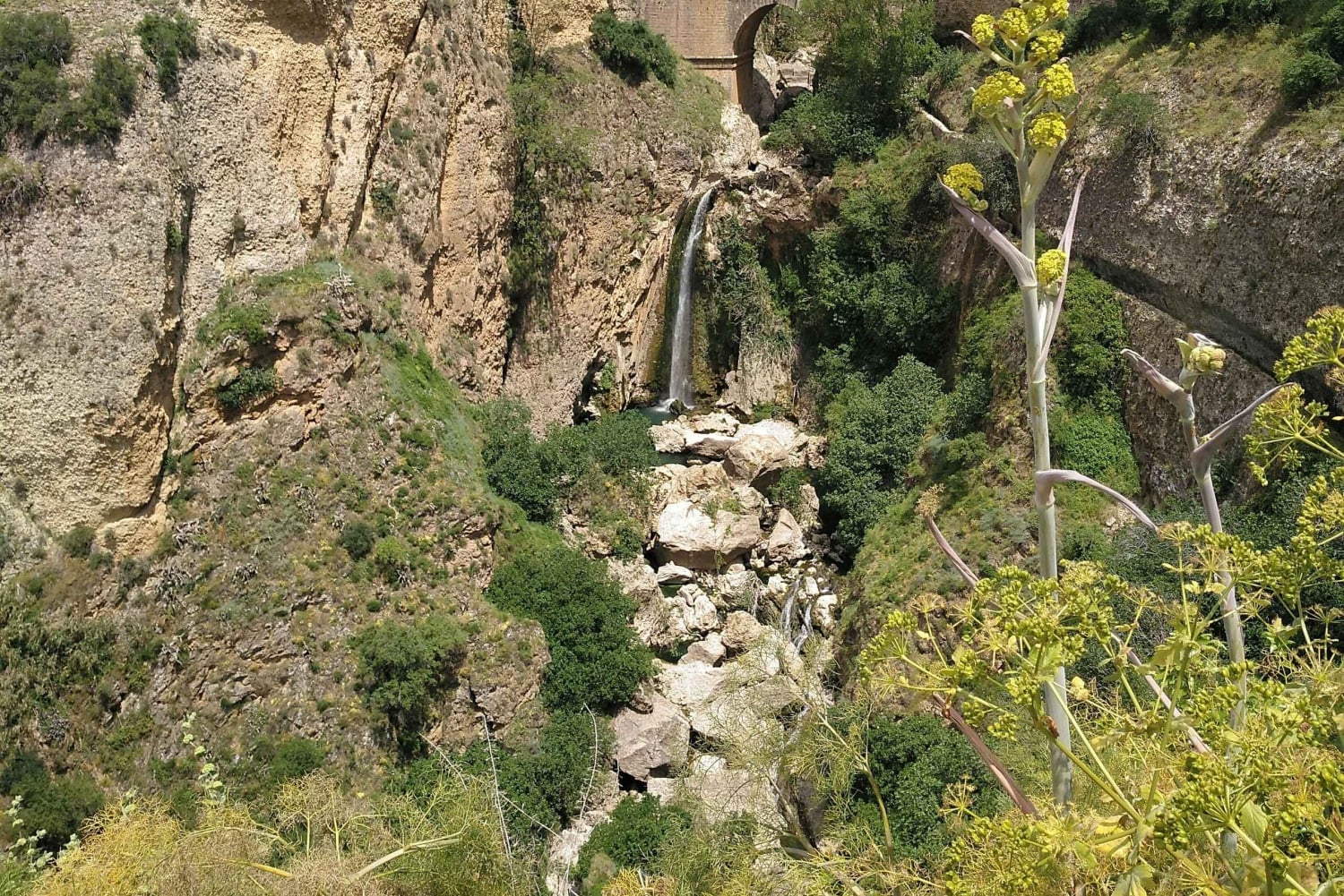 From Malaga & Costa del Sol: 5-Day Andalusia Adventure