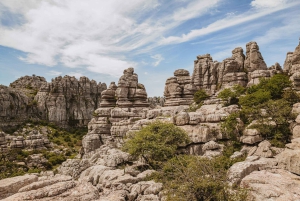 Fra Malaga og Costa del Sol: 5-dages eventyr i Andalusien