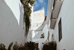 Fra Malaga og Costa del Sol: 5-dages eventyr i Andalusien