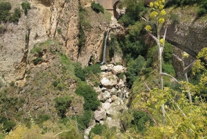 Fra Malaga og Costa del Sol: 5-dages eventyr i Andalusien