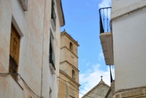 From Malaga & Costa del Sol: 5-Day Andalusia Adventure