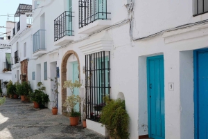 From Málaga /Costa del Sol: Trip to Nerja & Frigiliana