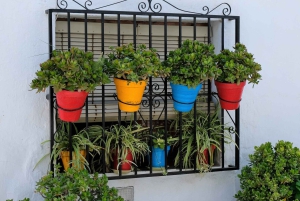 From Málaga /Costa del Sol: Trip to Nerja & Frigiliana