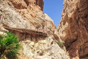 Z Malagi: Caminito del Rey - 1-dniowa wycieczka z przewodnikiem