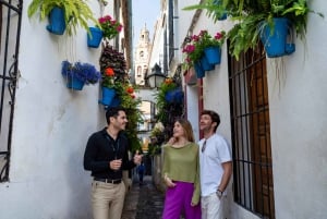 From Málaga: Day trip to Córdoba - Premium Small Group Tour