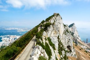 Von Malaga aus: Tagesausflug nach Gibraltar und Delphin-Bootsfahrt