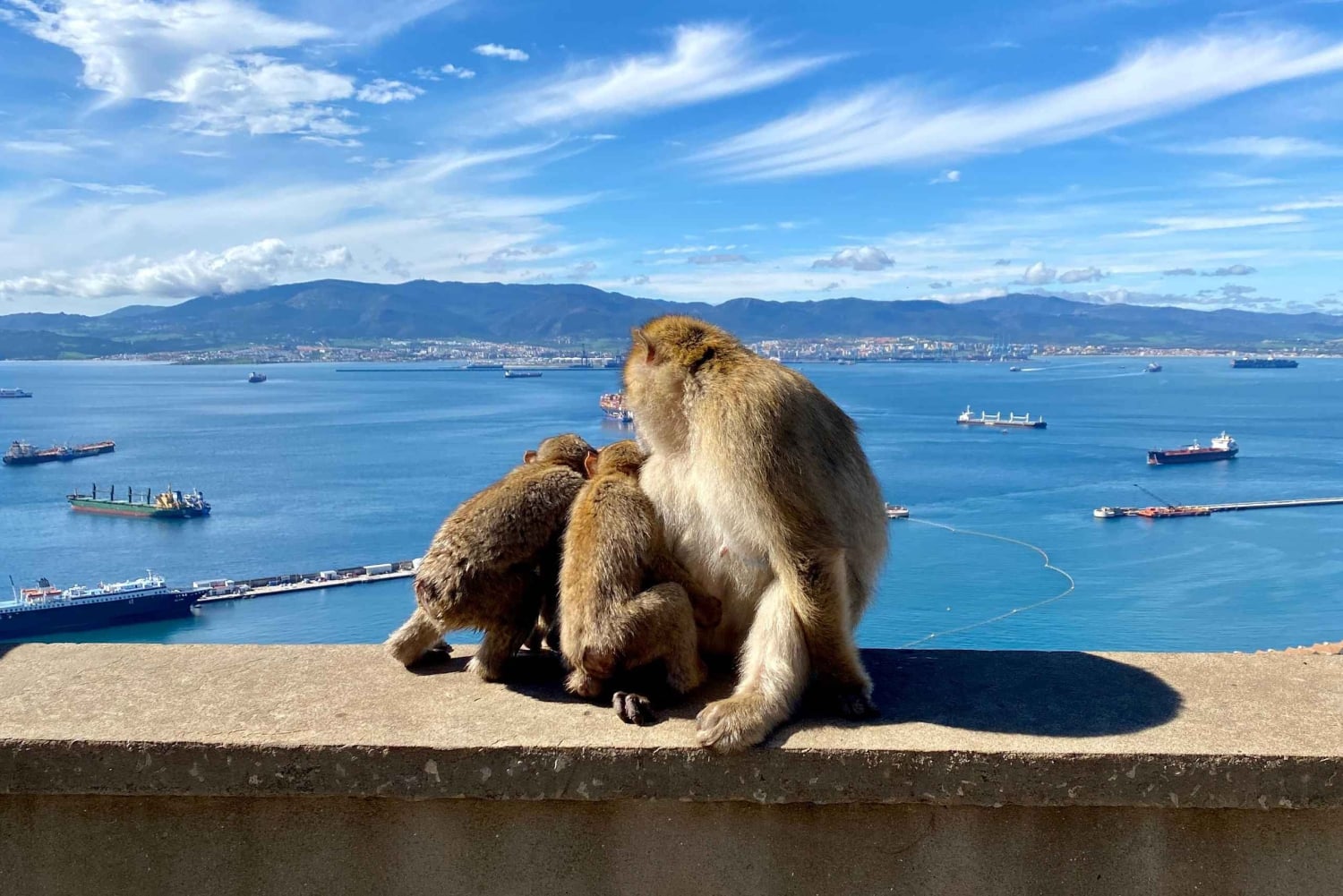 Da Malaga: escursione di un giorno a Gibilterra