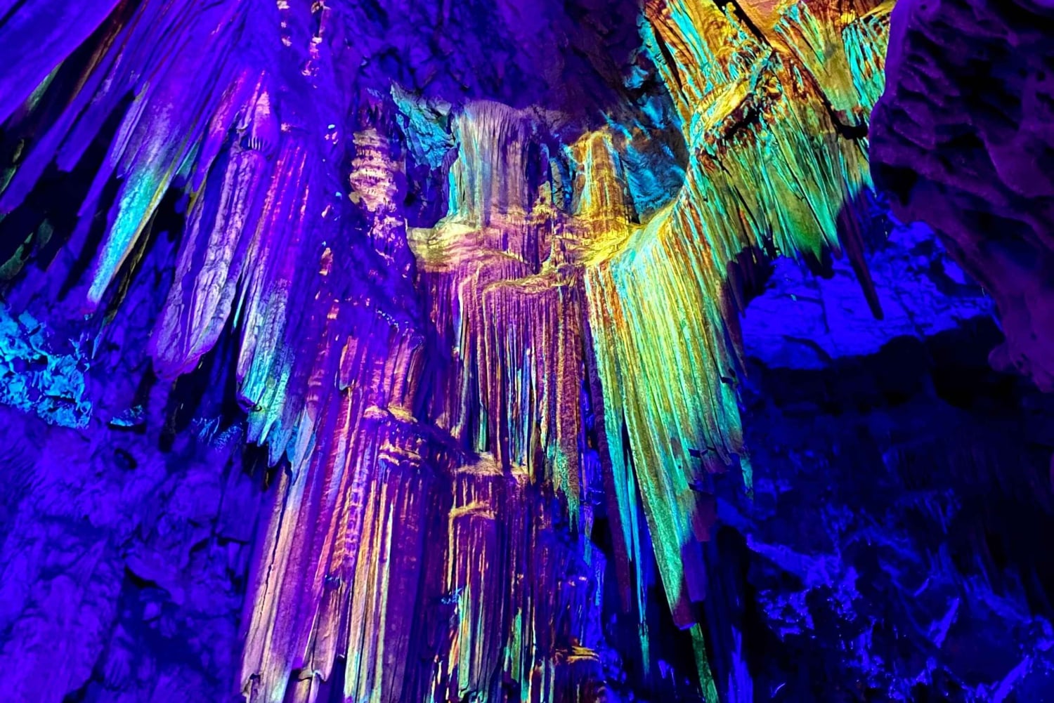 Da Malaga: escursione di un giorno a Gibilterra