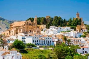 From Málaga: Caminito del Rey & Antequera: Dolmens and free time