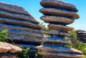 From Málaga: Caminito del Rey & Antequera: Dolmens and free time