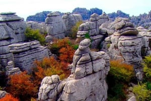 From Málaga: Caminito del Rey & Antequera: Dolmens and free time