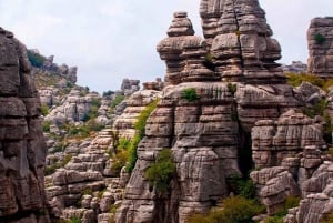 From Málaga: Caminito del Rey & Antequera: Dolmens and free time