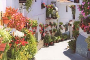 Vanuit Málaga: El Saltillo kloof en wit dorp wandeltocht