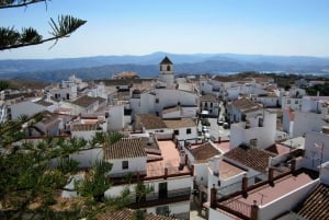 Från Málaga: Vandringstur i El Saltillo-ravinen och den vita byn