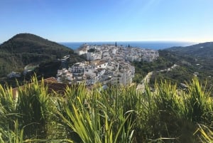 Z Malagi: Wycieczka piesza Frigiliana z winem i przekąskami