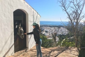 Z Malagi: Wycieczka piesza Frigiliana z winem i przekąskami