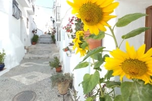 From Málaga: Frigiliana Hiking Tour with Wine & Appetizers