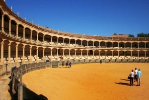 Vanuit Malaga: Dagtrip met de bus naar Ronda en Setenil