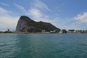From Malaga: Gibraltar and Dolphin Sightseeing Boat Tour