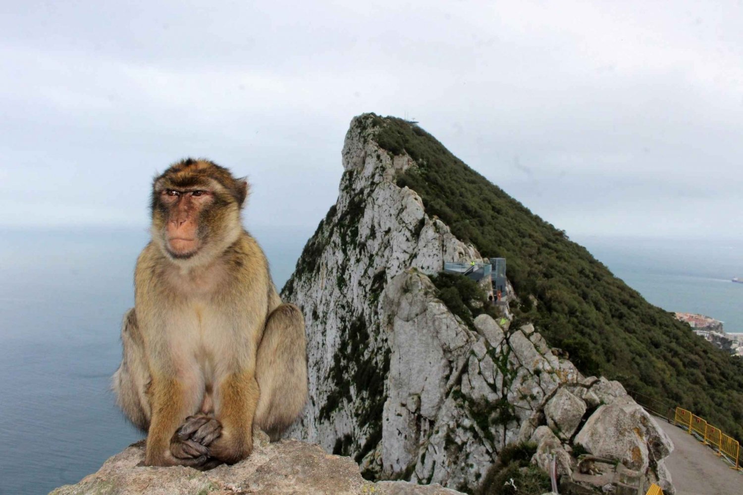 Z Malagi: Gibraltar Rock and Caves całodniowa wycieczka