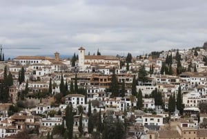 From Málaga: Granada and Alhambra Surroundings Day Trip
