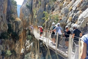 Fra Malaga: Grupperejse til Caminito del Rey