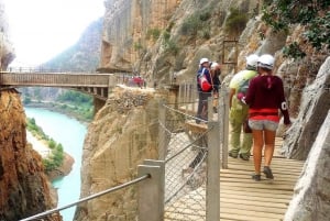 Fra Malaga: Grupperejse til Caminito del Rey