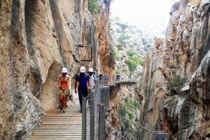 Fra Malaga: Grupperejse til Caminito del Rey