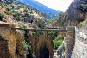 Fra Malaga: Grupperejse til Caminito del Rey